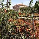 Appartement Baksa